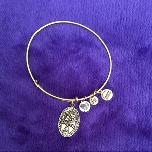 Alex and Ani bracelet